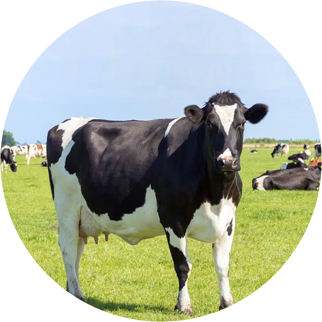 亿万先生mr·(中国区)官方网站