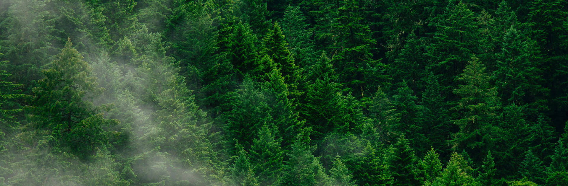 a9887ab6e7c534be263fc05a0b698fc5