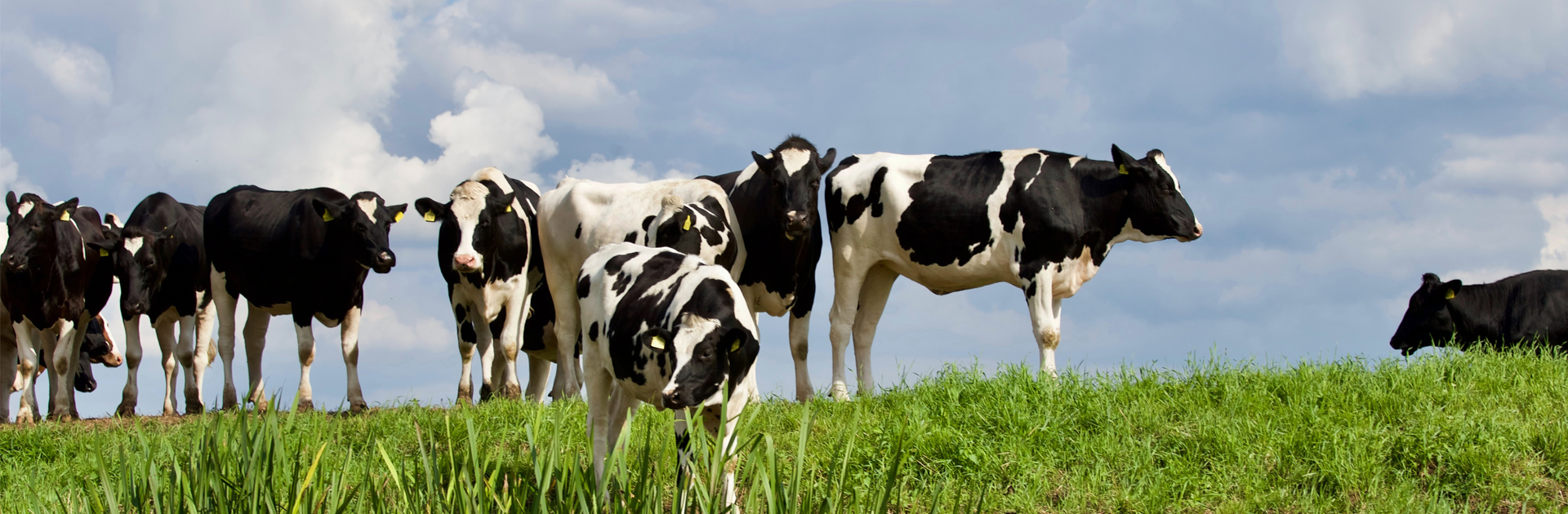 4cc5e44e97ed20c1d87777bcef7bccf4