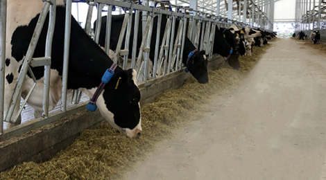 亿万先生mr·(中国区)官方网站